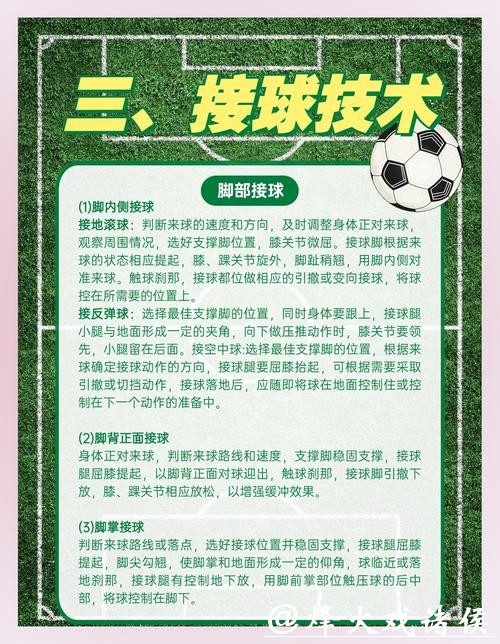 世界杯外围买球合法吗?详解法律问题 世界杯外围买球合法吗?详解法律问题